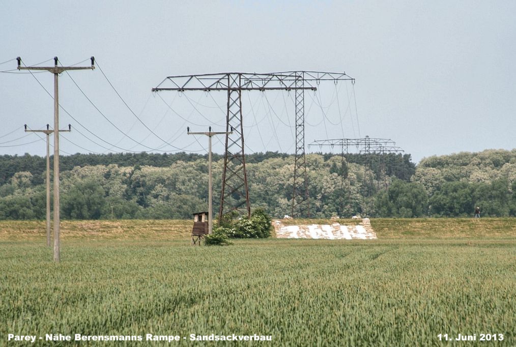 Hochwasser- 2013_06_11-009-Parey-Berensmanns_Rampe.jpg